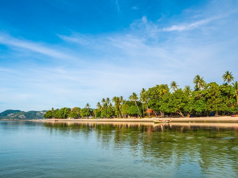 Discovering Kerala: Top Places to Visit, Delicacies to Savor, and Activities to Enjoy