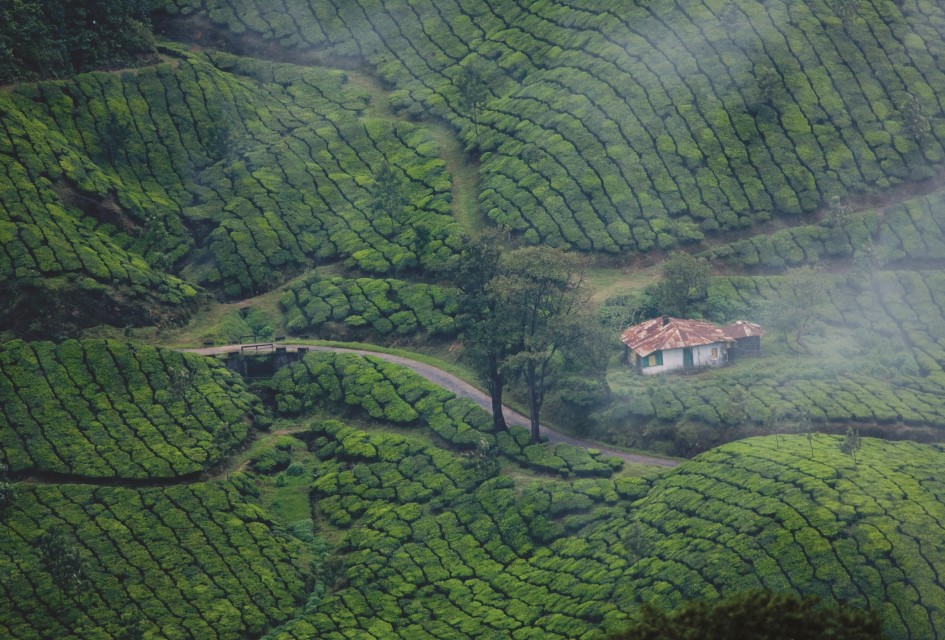 Witness Kerala by 3 Night and 4 Day Kerala Tour Package