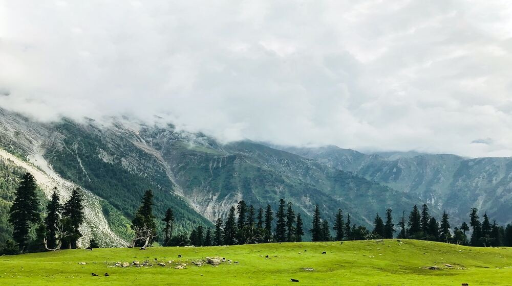 Discover Kashmir's Splendour of Pure Paradise